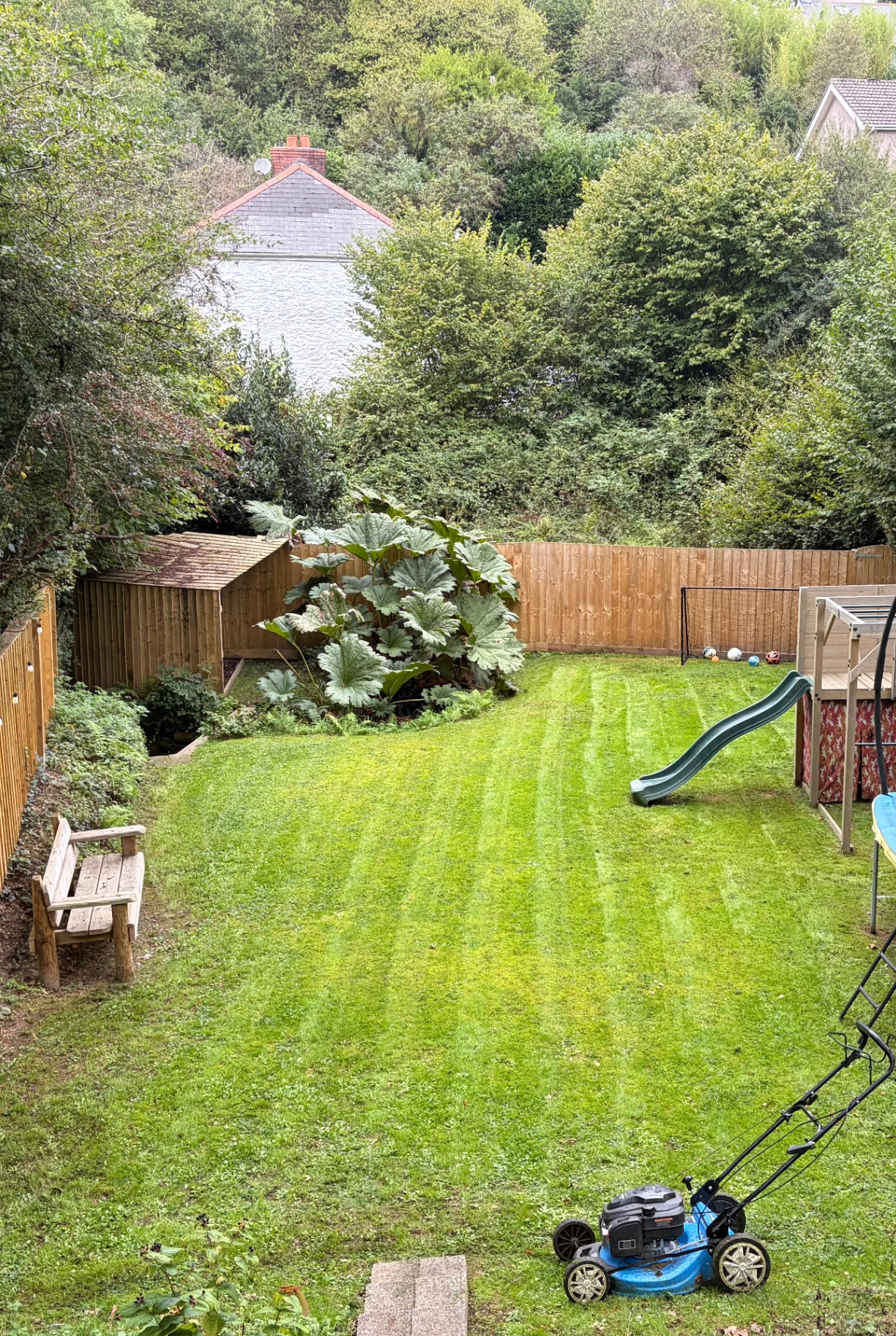 Recently mown domestic back garden with striped grass, a wooden bench and planted borders