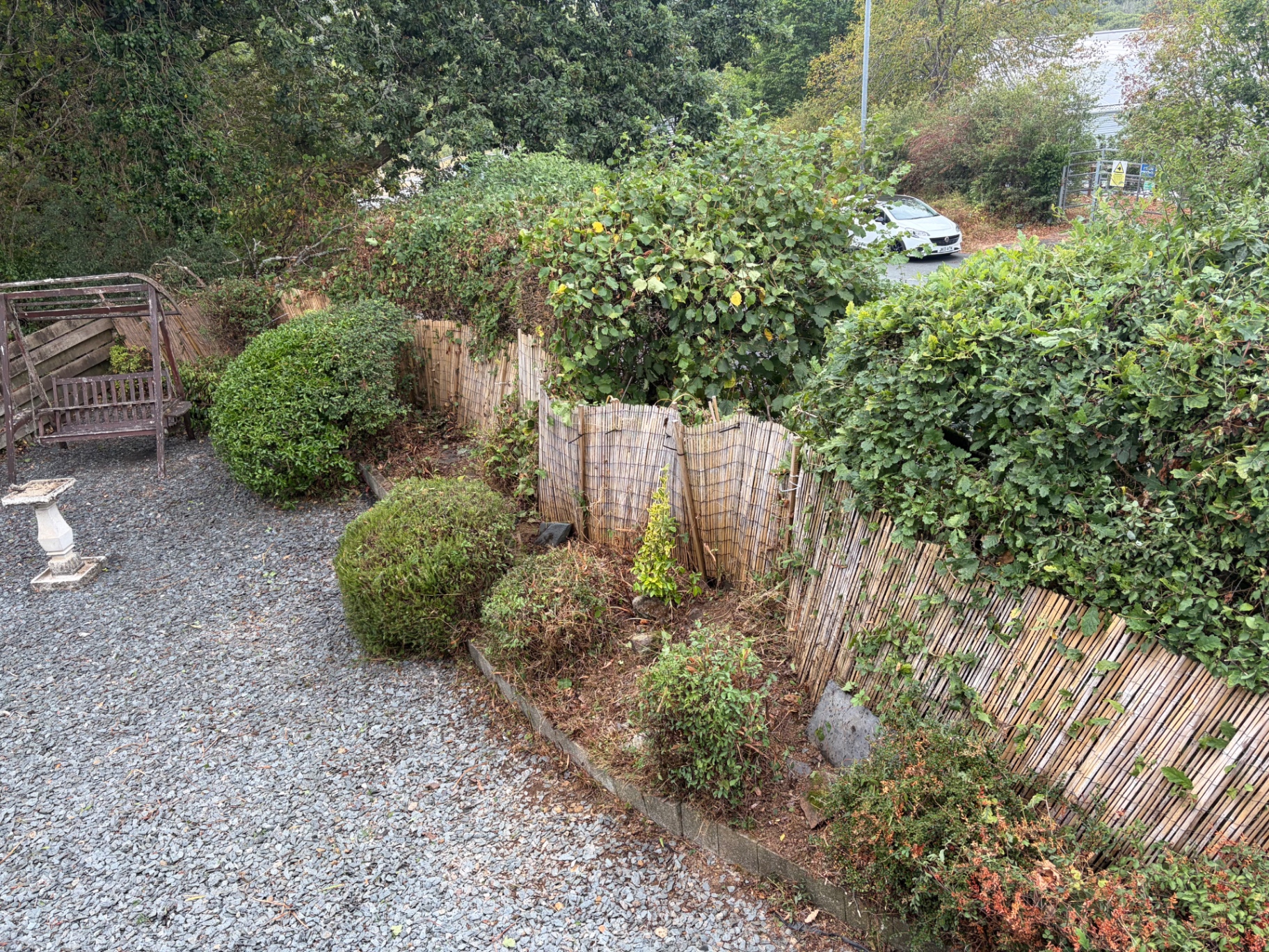Clipped shrubs and maintained boundary hedge in a gravelled garden