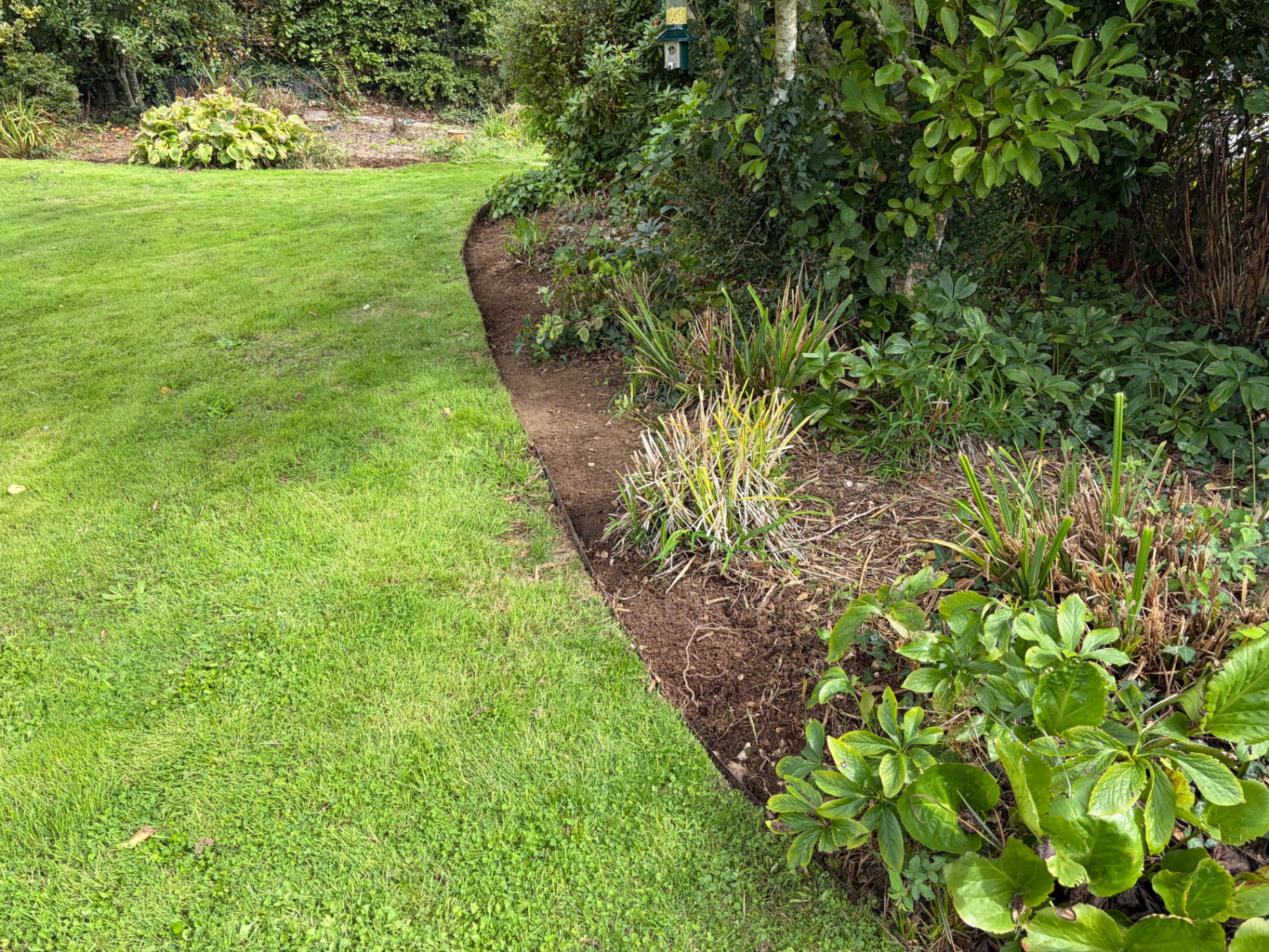 Freshly edged curving border beside a well-kept lawn