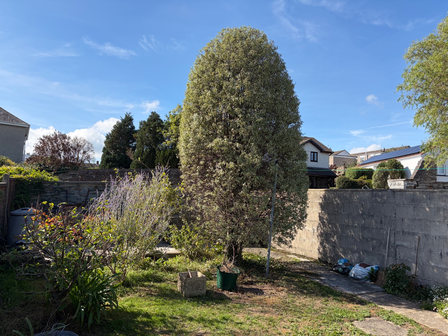 Garden after tree and border work with cut material gathered for removal